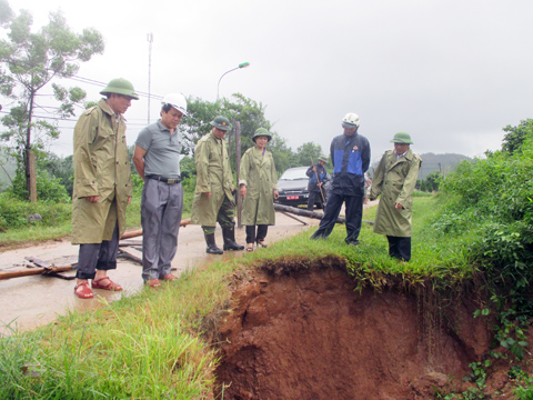 Nông nghiệp Quảng Ninh: Chủ động xây dựng các biện pháp ứng phó với mưa, lũ. (12/8/2016)